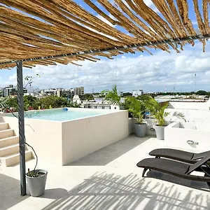 Balam , Playa del Carmen Mexique